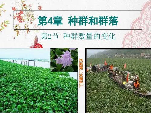 新版人教版高中生物种群数量的变化 (共33张PPT)学习演示PPT课件