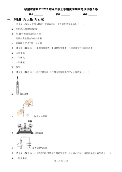 福建省漳州市2020年九年级上学期化学期末考试试卷B卷