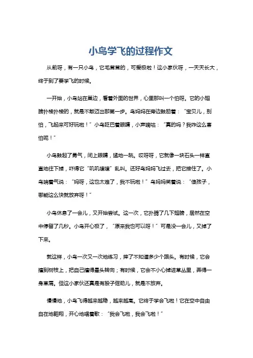 小鸟学飞的过程作文