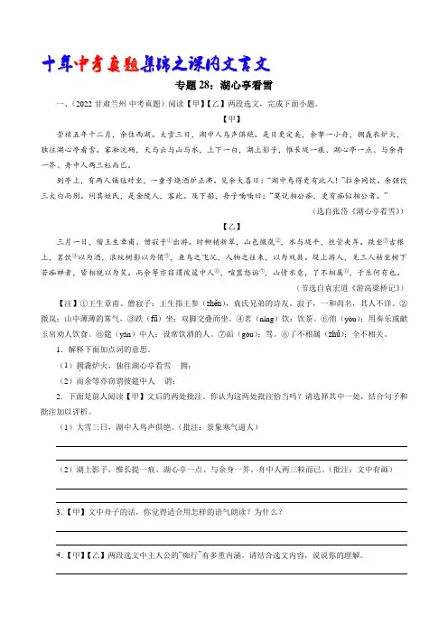 专题28：湖心亭看雪(学生版)-十年(2013-2022)中考真题集锦之课内文言文(全国通