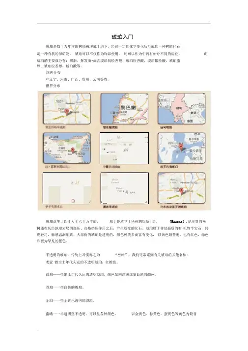 琥珀基础知识