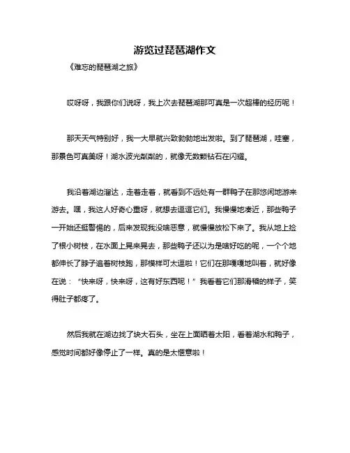 游览过琵琶湖作文