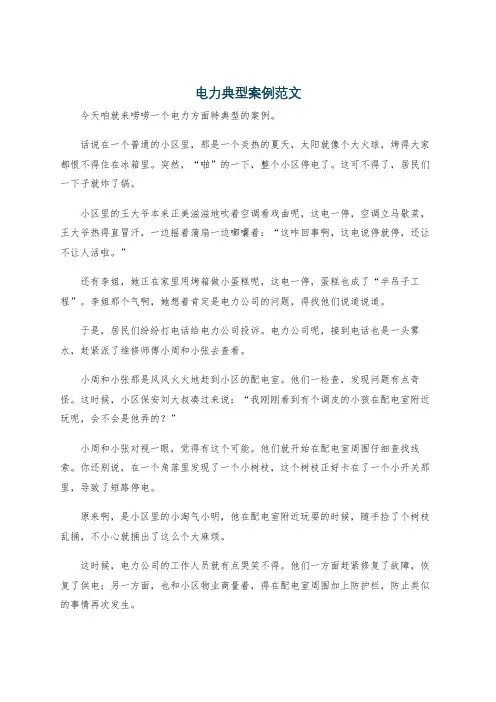 电力典型案例范文