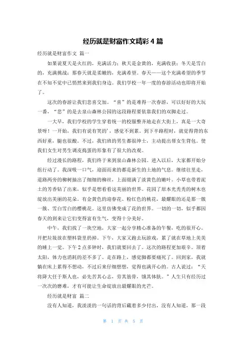 经历就是财富作文精彩4篇