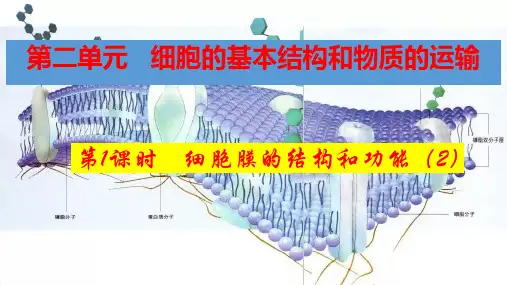高三生物一轮复习课件细胞膜的结构和功能