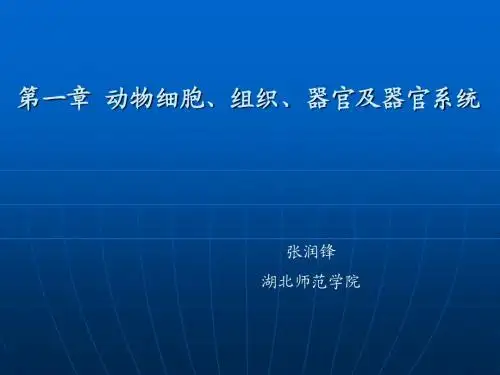 第一章 动物细胞、组织、器官及器官系统