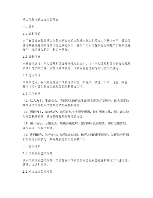 重大气象自然灾害应急预案