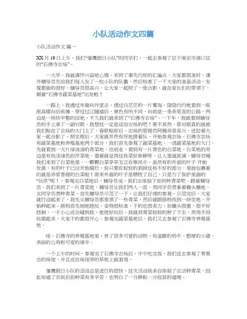  小队活动作文四篇