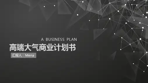 高端大气商业计划书PPT模板