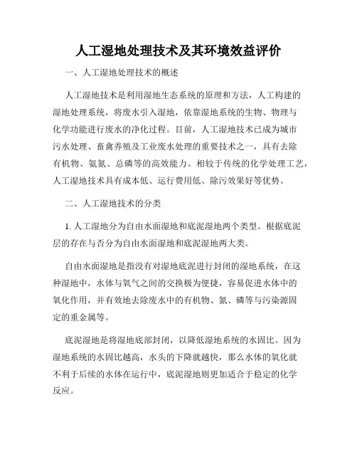 人工湿地处理技术及其环境效益评价