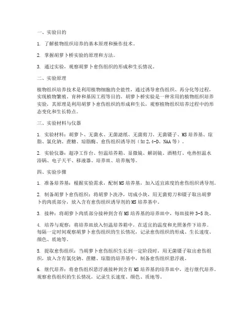 胡萝卜桥实验报告
