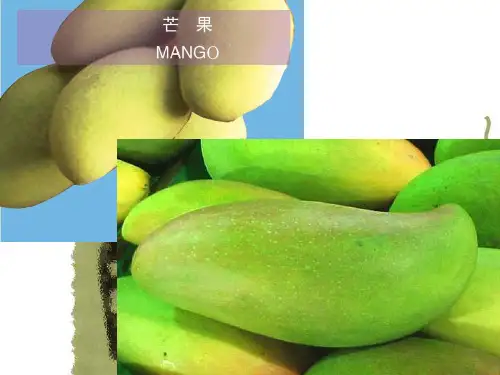 农业区位选择.PPT课件