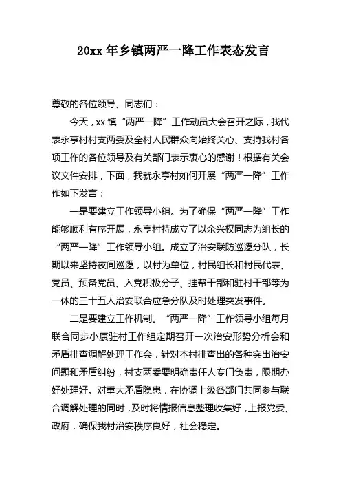 XX年乡镇两严一降工作表态发言