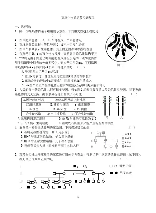 高三生物的遗传专题复习