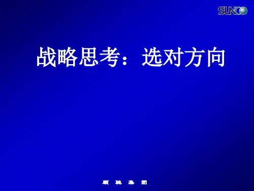 现代企业战略管理讲义(ppt 17页)