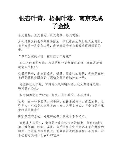 银杏叶黄,梧桐叶落,南京美成了金陵
