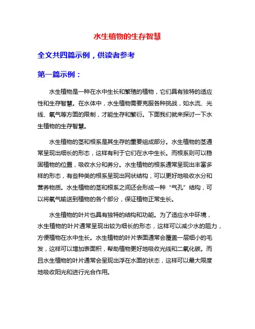 水生植物的生存智慧