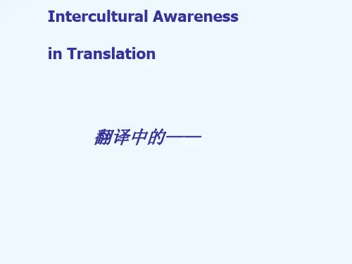 Unit9翻译中的文化意识