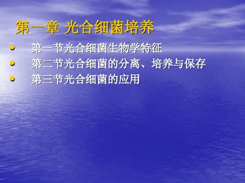 第一章光合细菌培养