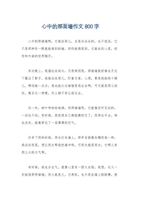 心中的那面墙作文800字