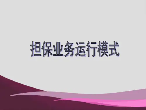 担保公司培训课件(非常全面)