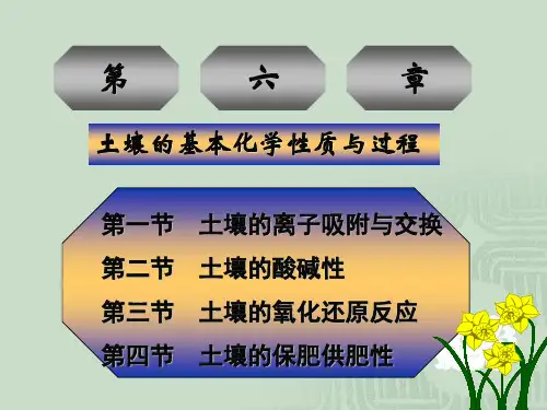 第六章-土壤的保肥性与供肥土壤的基本化学性质及过程
