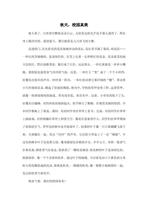 秋天,校园真美_小学六年级作文600字