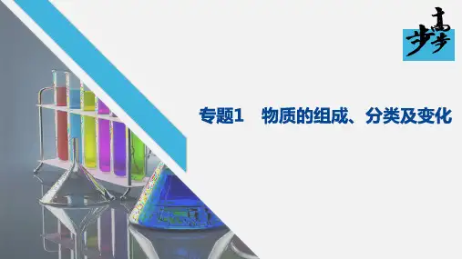 2020年2月浙江省学考选考高2020届高2017级高三二轮复习步步高全套课件专题1