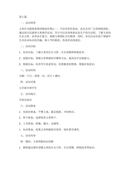 综合实践种玉米教学(3篇)