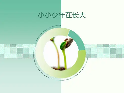 青春期第二性征发育的特点(课件)-2021-2022学年体育与健康五至六年级 人教版 