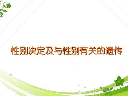 性别决定PPT课件