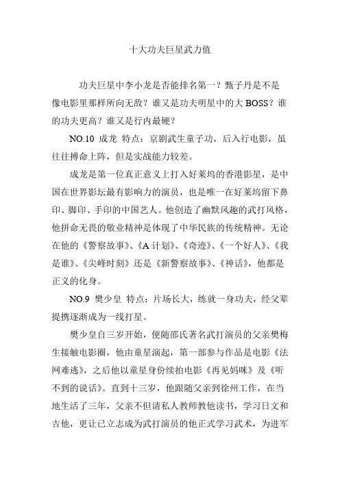 十大功夫巨星武力值