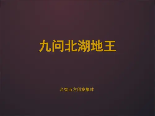 北湖地王推广(合智五方)ok