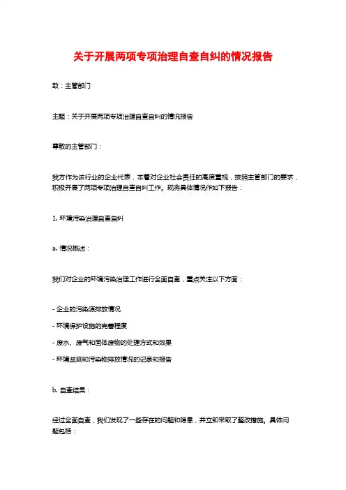 关于开展两项专项治理自查自纠的情况报告