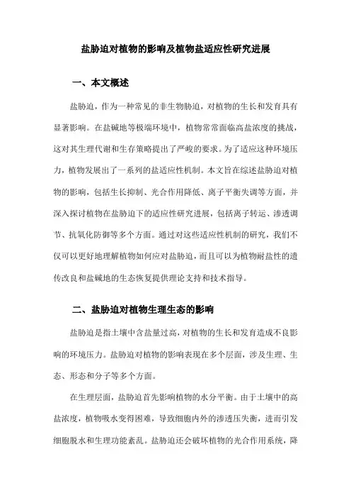 盐胁迫对植物的影响及植物盐适应性研究进展