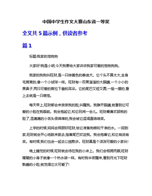 中国中学生作文大赛山东省一等奖
