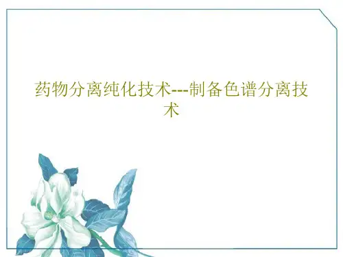 药物分离纯化技术---制备色谱分离技术共55页