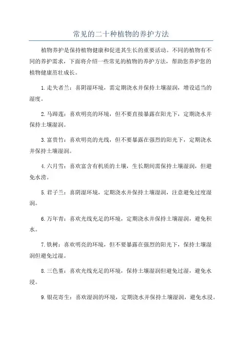 常见的二十种植物的养护方法