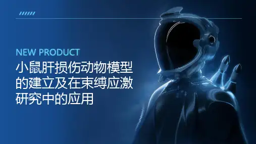 小鼠肝损伤动物模型的建立及在束缚应激研究中的应用