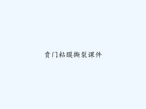 贲门粘膜撕裂课件 PPT