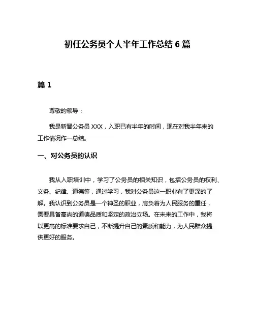 初任公务员个人半年工作总结6篇