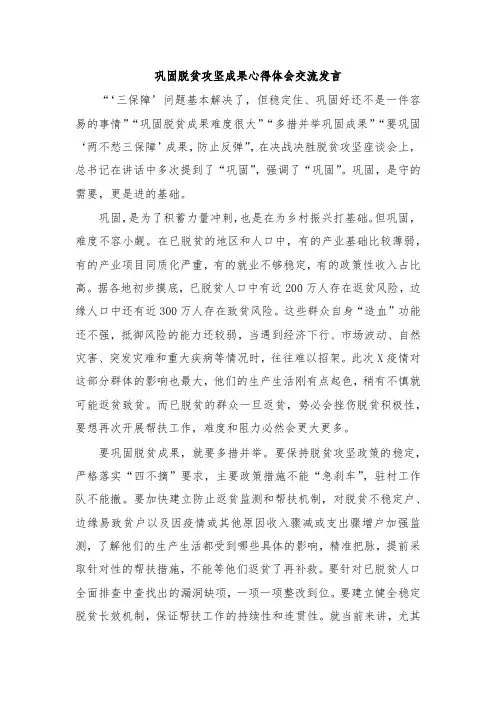 巩固脱贫攻坚成果心得体会交流发言