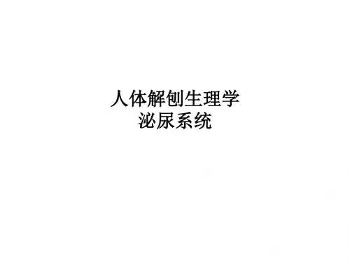 [医学]人体解刨生理学 泌尿系统