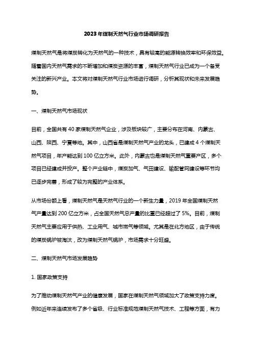 2023年煤制天然气行业市场调研报告