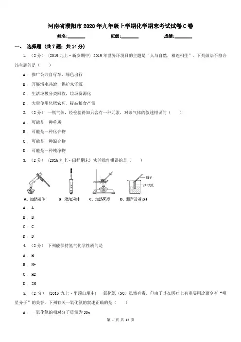 河南省濮阳市2020年九年级上学期化学期末考试试卷C卷(练习)