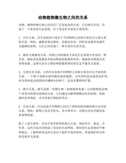 动物植物微生物之间的关系