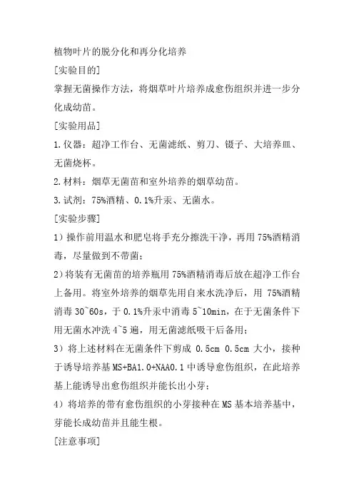 细胞工程实验1