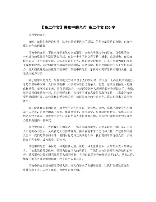 【高二作文】黑夜中的光芒 高二作文800字