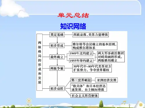 两极格局下的世界PPT课件2 人教版