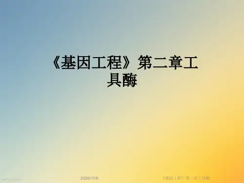 《基因工程》第二章工具酶